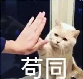 DƬ